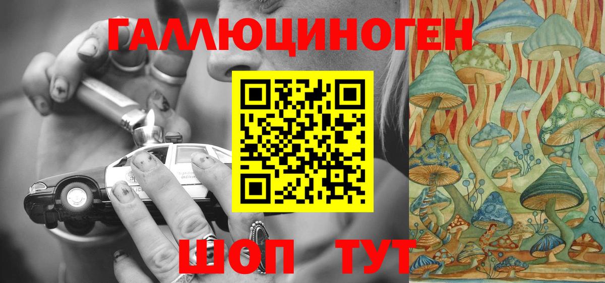 Новоалтайск  Галлюциногенные грибы Psilocybe  Вход с VPN 
